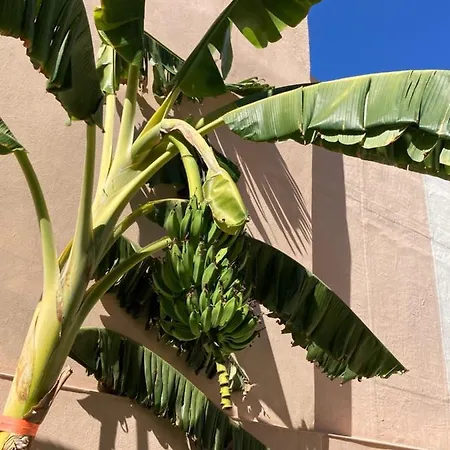 Junqueira Gardens - Casa Antiga Jardim E Piscina Lissabon