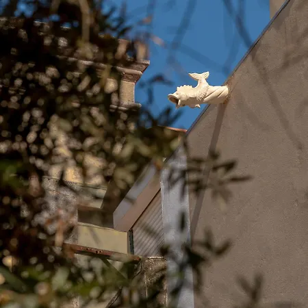 Villa Junqueira Gardens - Casa Antiga Jardim E Piscina