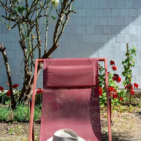 Villa Junqueira Gardens - Casa Antiga Jardim E Piscina *