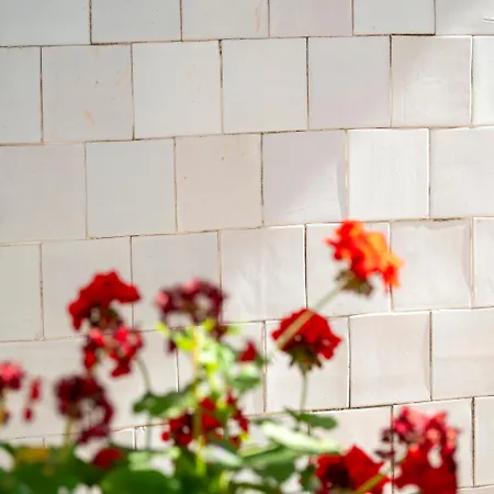 Junqueira Gardens - Casa Antiga Jardim E Piscina Villa Lissabon